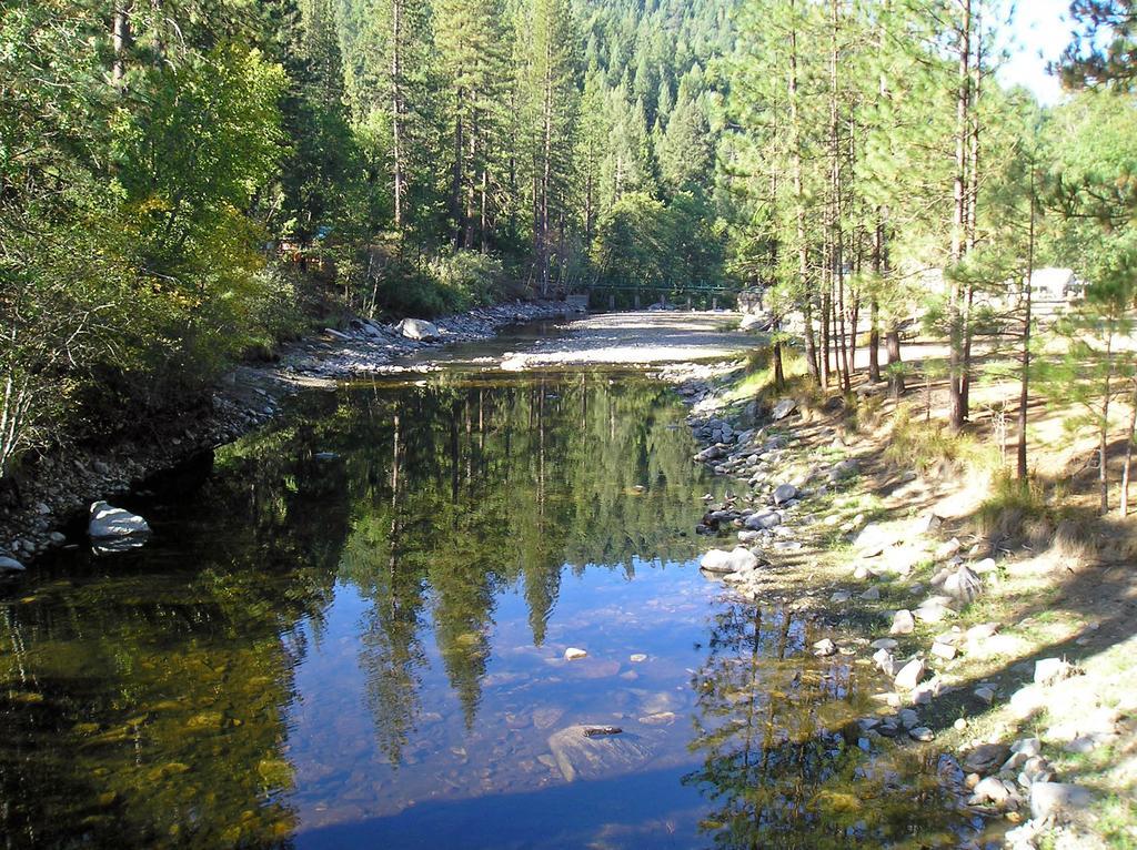 Yosemite Lakes Cottage 52 Harden Flat Dış mekan fotoğraf